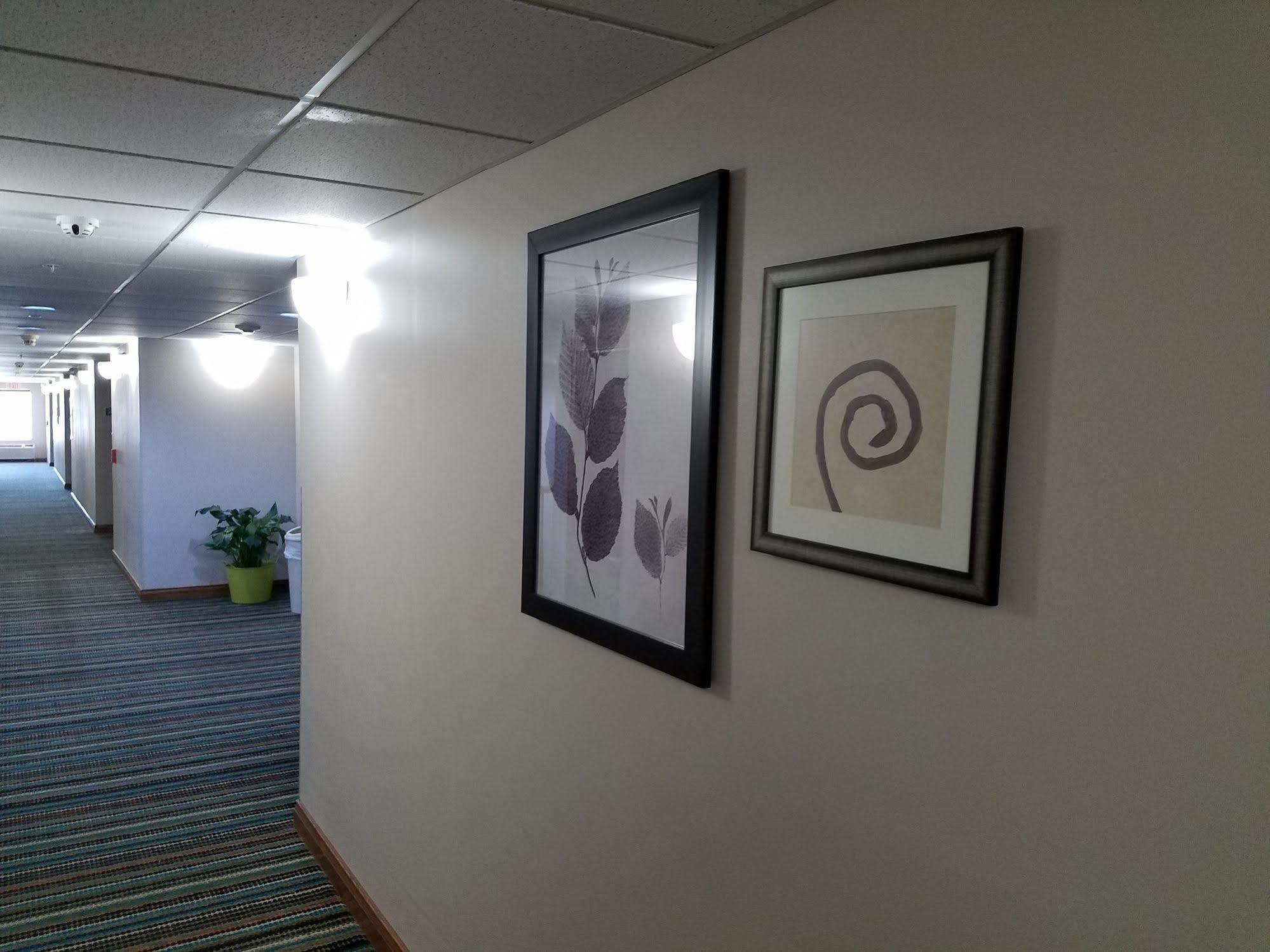 Country Inn & Suites By Radisson, Jacksonville, Fl מראה חיצוני תמונה