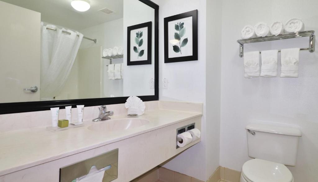 Country Inn & Suites By Radisson, Jacksonville, Fl מראה חיצוני תמונה